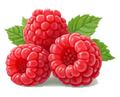 Raspberry
