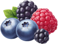 Mixed Berry