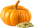 Pumpkin Seed