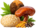 Adaptogenic Mushroom Blend